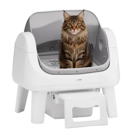KittyScooper 12 Lite